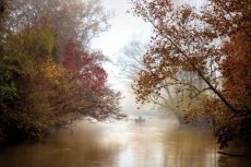 Into the Mist of Autumn